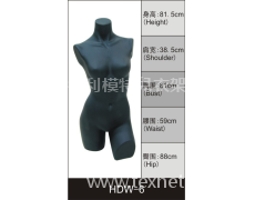 女半身展示模特 點擊查看大圖
