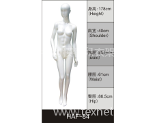 女裝展示模特 點擊查看大圖
