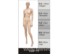 女裝展示模特 點(diǎn)擊查看大圖