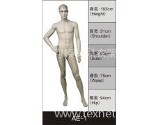 男裝展示模特 點擊查看大圖