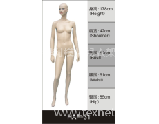 女裝展示模特 點擊查看大圖