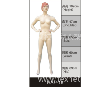 女裝展示模特 點擊查看大圖