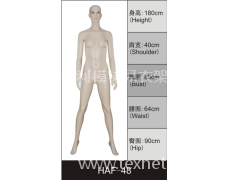 女裝展示模特 點擊查看大圖