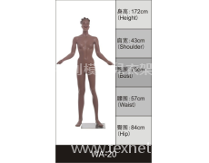 女裝展示模特 點擊查看大圖