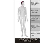 女裝展示模特 點(diǎn)擊查看大圖