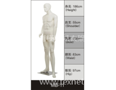 男裝展示模特 點擊查看大圖