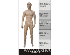 男裝展示模特 點擊查看大圖