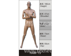 男裝展示模特 點擊查看大圖