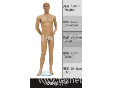 男裝展示模特 點擊查看大圖