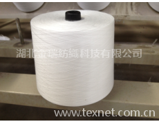 T20s/3滌綸紗 點擊查看大圖