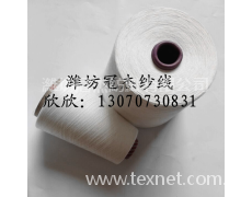 滌粘紗60支 點(diǎn)擊查看大圖