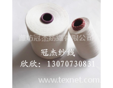 TR65/35 40支滌粘紗 點擊查看大圖