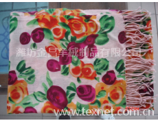 羊毛印花披肩 pashmina披肩  點(diǎn)擊查看大圖