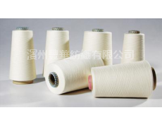 棉紗R/A70/30% 30/2 點(diǎn)擊查看大圖