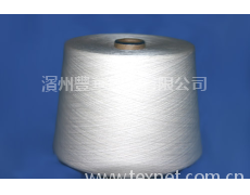 棉紗R/C60/40% 20/2 點(diǎn)擊查看大圖
