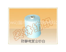 防靜電復(fù)合紗 點(diǎn)擊查看大圖