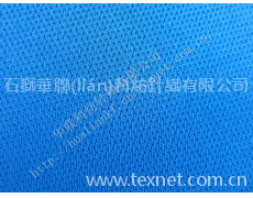 滌蜂窩小網(wǎng)布 點(diǎn)擊查看大圖