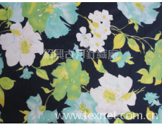 TR汗布 點擊查看大圖