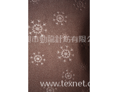 壓花搖粒絨 點擊查看大圖
