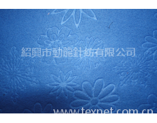 壓花搖粒絨 點擊查看大圖