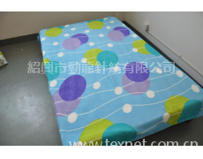 珊瑚絨毛毯 點擊查看大圖