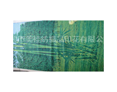 浴簾布印花 點擊查看大圖