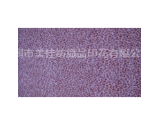網(wǎng)布印花 點(diǎn)擊查看大圖