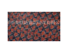 網(wǎng)布印花 點(diǎn)擊查看大圖