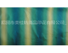 傘布印花 點擊查看大圖