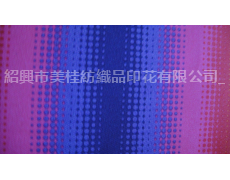 傘布印花 點擊查看大圖