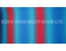 傘布印花 點擊查看大圖