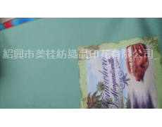 傘布印花 點擊查看大圖