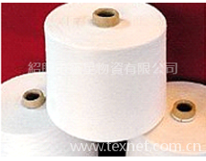 滌棉紗 點(diǎn)擊查看大圖