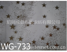 燙金 點擊查看大圖