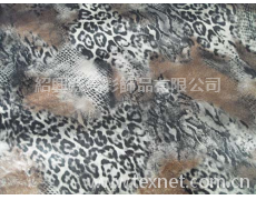 全轉移燙金 點擊查看大圖