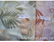 窗紗印花 點擊查看大圖