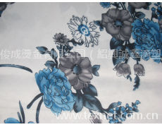 轉(zhuǎn)移印花 點(diǎn)擊查看大圖