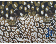 FDY針織印花 點擊查看大圖