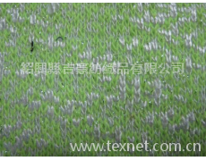 T/R粗針銀絲 點(diǎn)擊查看大圖