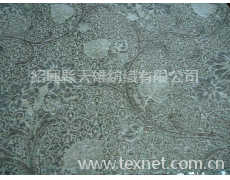 滌棉提花布 點擊查看大圖