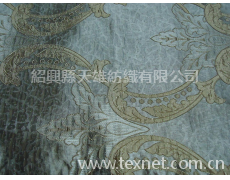 全滌提花布 點擊查看大圖