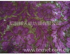 全滌提花布 點擊查看大圖