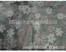 全滌提花布 點擊查看大圖