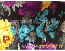 普通數碼印花面料 點擊查看大圖