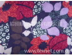 印花搖粒絨 點擊查看大圖