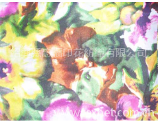 服裝印花紙 點擊查看大圖