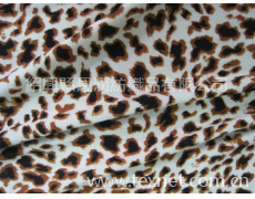 人棉氨綸汗布 點擊查看大圖