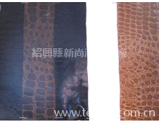 經編火焰復合 點擊查看大圖