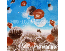 法萊絨毛毯 點擊查看大圖