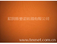 滌綸布 點(diǎn)擊查看大圖